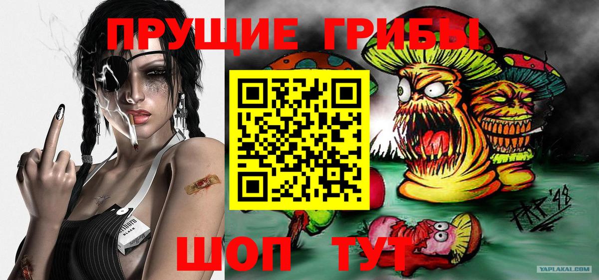 Людиново  Галлюциногенные грибы MAGIC MUSHROOMS  купить наркотик  Вход с VPN 