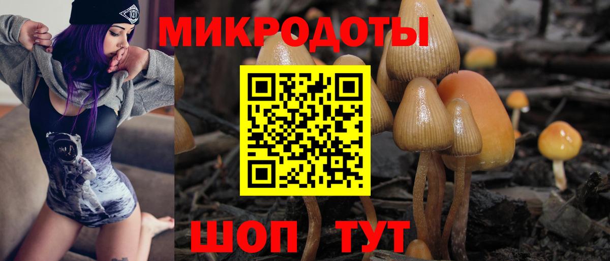 Галлюциногенные грибы ЛСД Людиново